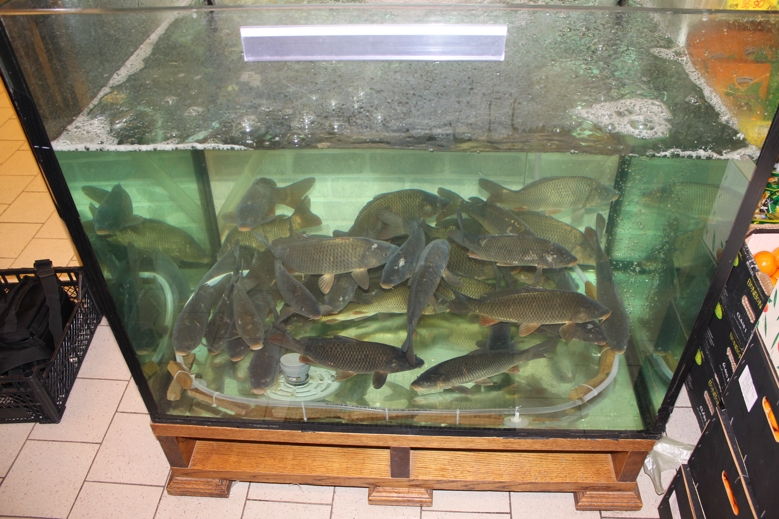 Торговый аквариум