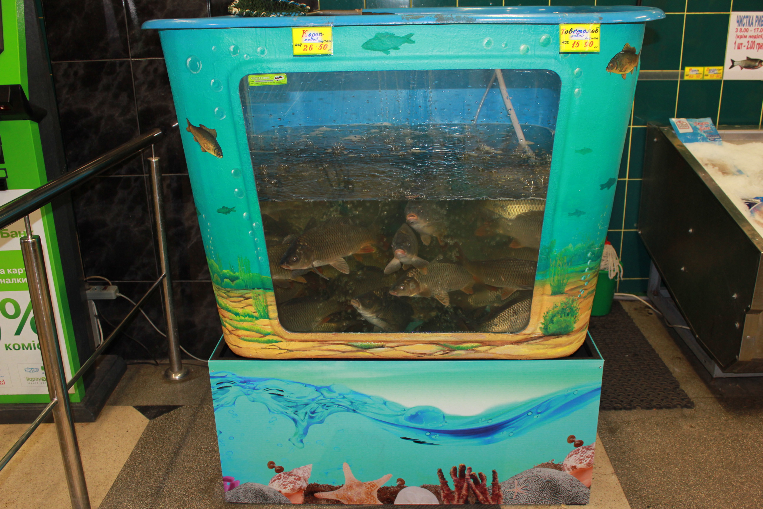 Торговий акваріум для продажу живої риби